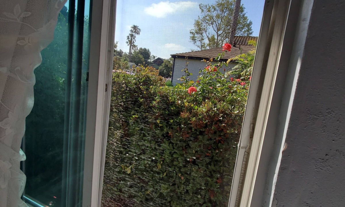 Palms House | 1B/1B Guest house nearby UCLA / SMC