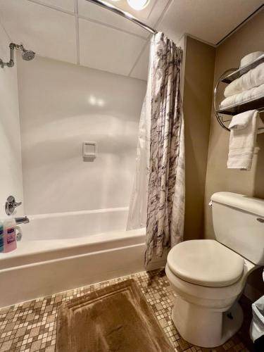 Cedar Falls Apartment | 28 m² Apartment ∙ 1 bedroom ∙ 2 guests