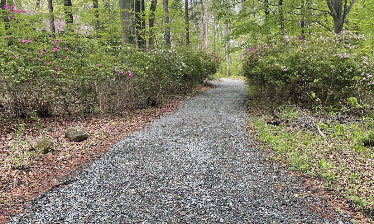 Greensboro Cabin | 3-bedroom cabin in peaceful Greensboro with cozy charm