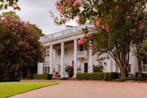 Greater Belhaven House | 41 m² Motel ∙ 3 guests