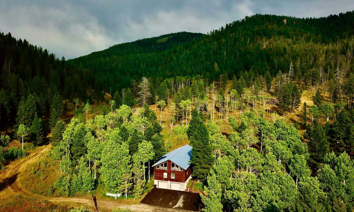 Island Park Cabin | American Bison Lodge+10Miles2YNP+Hottub+Wifi+AC