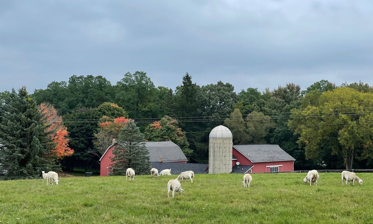 Metamora House | Beautifully Restored Five Bedroom 1860 Barn