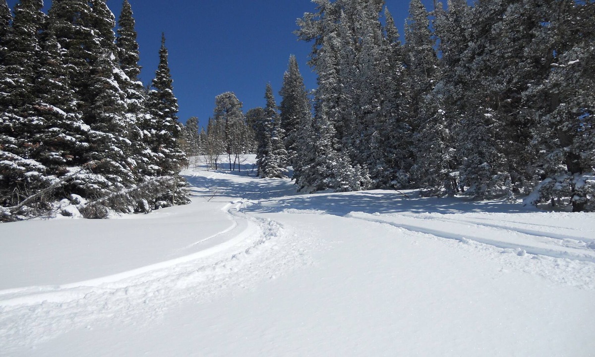 Powder Mountain Slopeside Accommodation | Powder Mountain
