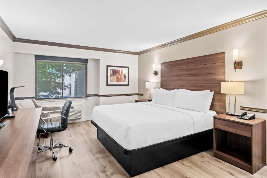 Maple Ridge Hotel | Best Western Maple Ridge