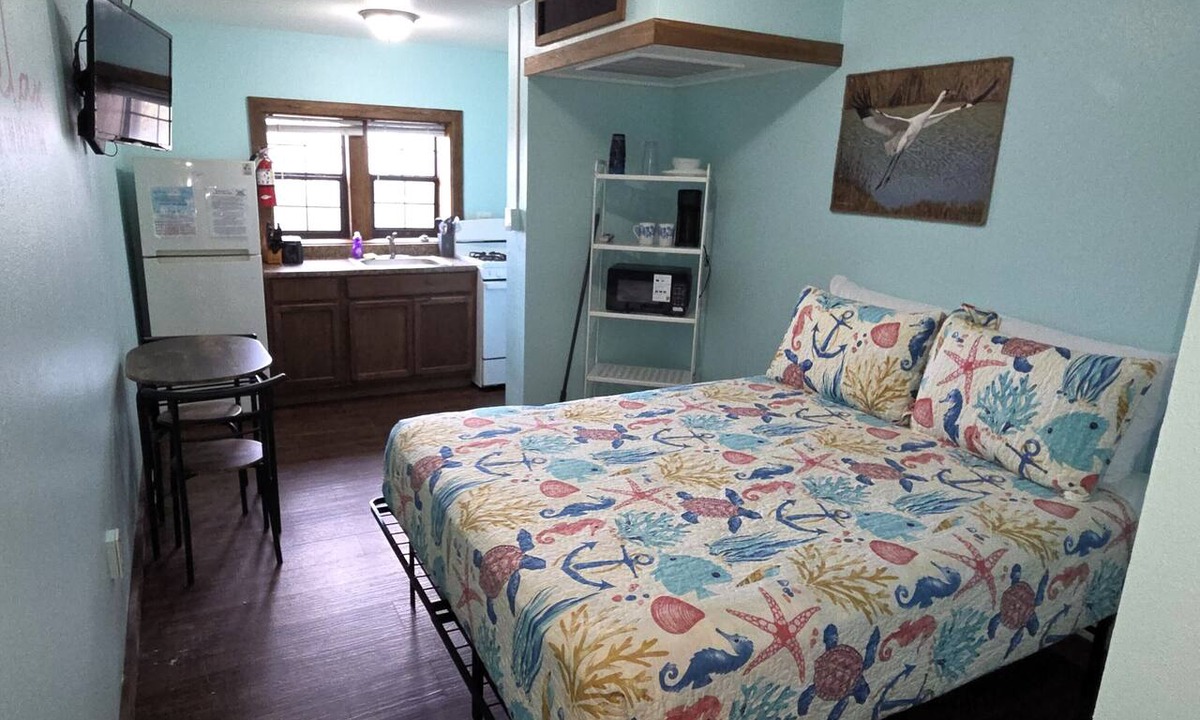 Shibui Sands Apartment | BSI111- Cozy Studio Sleeps 2, Pool, Walk to the Beach, Ocean Views, Dogs OK!