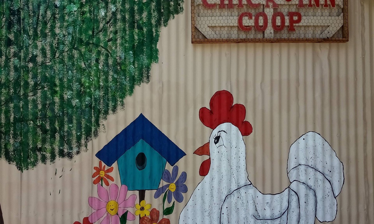 Shiner House | BYRD'S FARMHOUSE CHICK-INN COOP