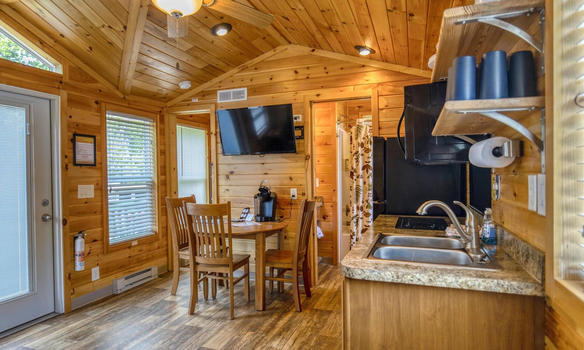 Dickerson Run Cabin | Cabin 5 - Beautiful spacious cabin w/loft and lots of windows! Breathtaking view with facing the river.