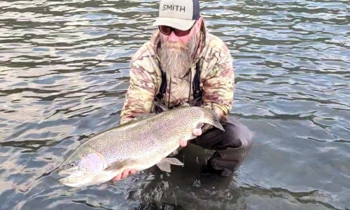 Ashton Cabin | Charming 3-bedroom riverside cabin close to Grand Teton and Yellowstone