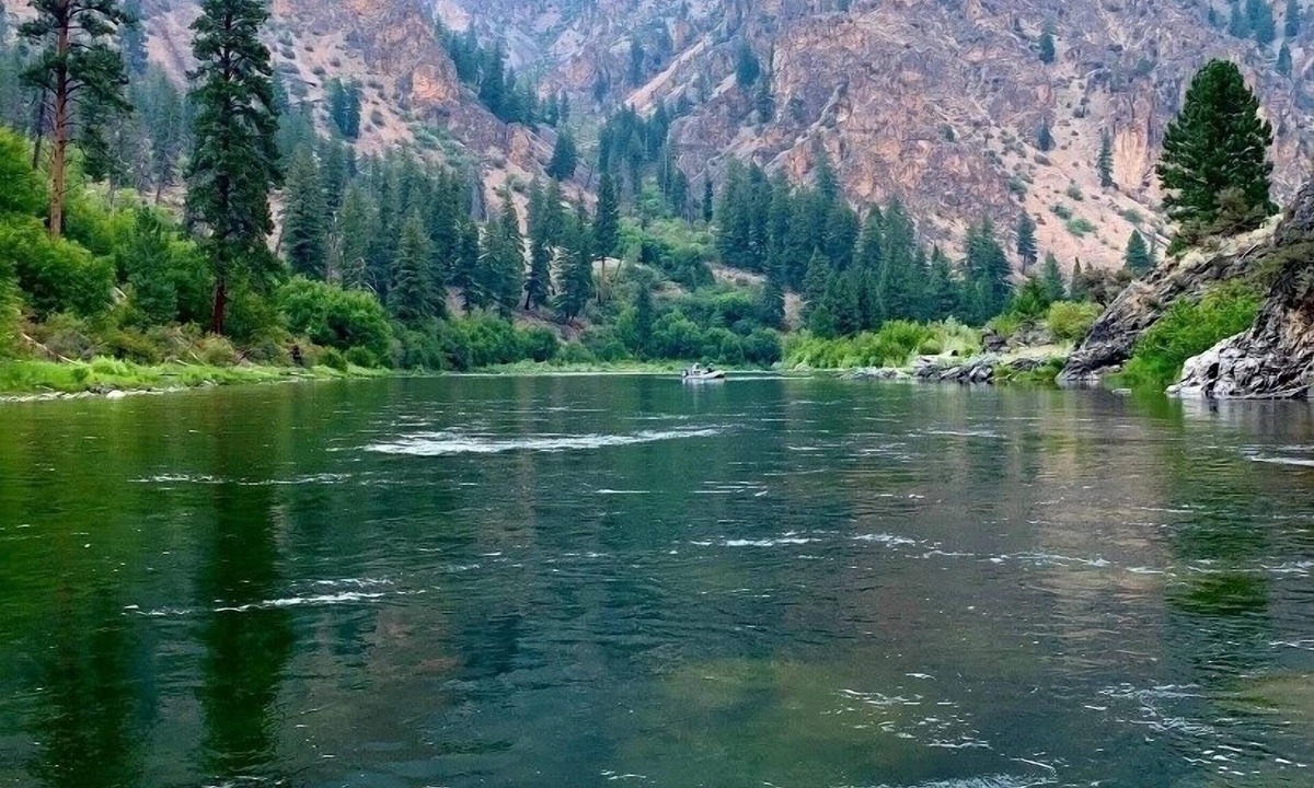 Riggins Condo | Cozy retreat within walking distance of anything in town and the salmon river!