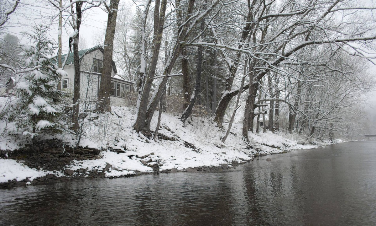 Driftwood Cabin | Creek-Side Living In The Pennsylvania Elk Range