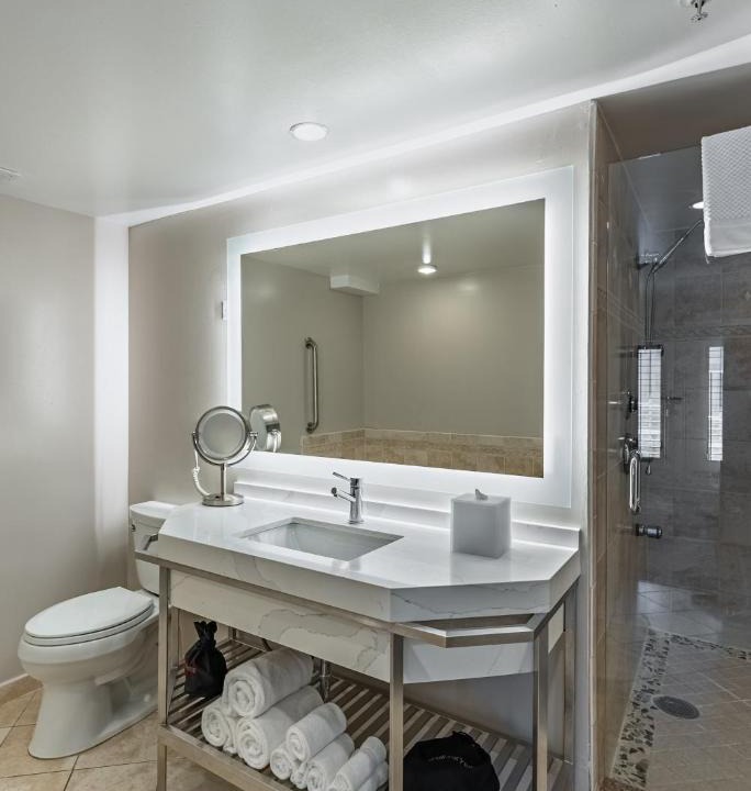 Lake Dot Hotel | Crowne Plaza Orlando-Downtown by IHG