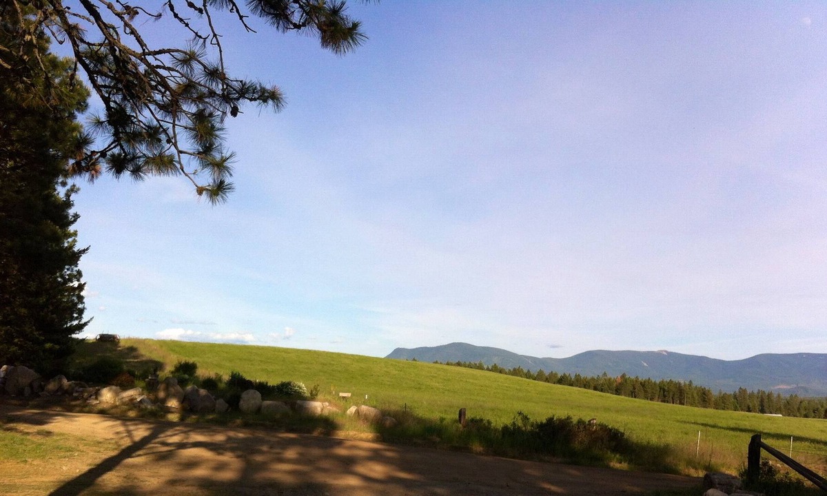 Athol Cabin | Cute cabin 10 minutes from Silverwood/Farragut Park!