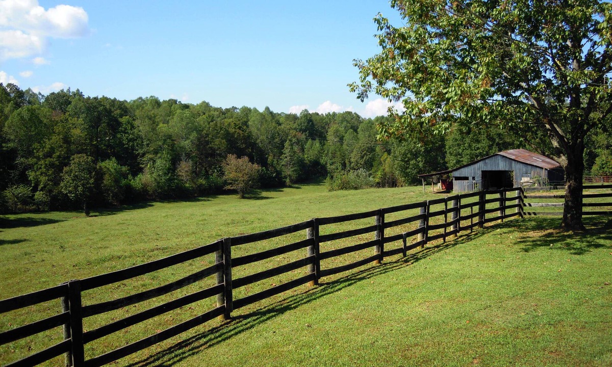 Frogue House | Dale Hollow Cabin Next To State Park With Free Fire Pit & COVERED Boat Slip