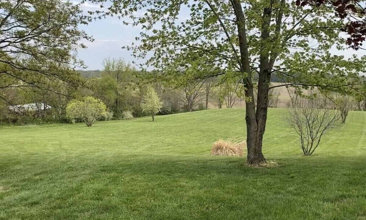 Newburgh House | Eclipse Viewers Check This Out!