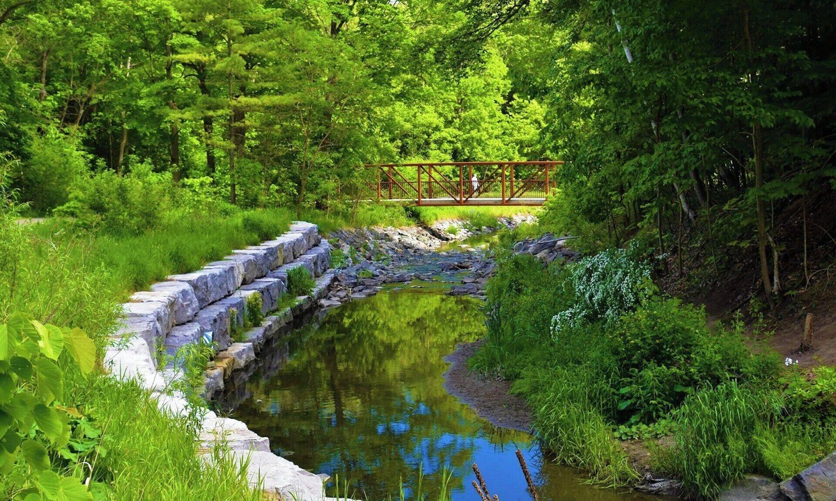 St. Louis Park House | Five miles west of Central Minneapolis