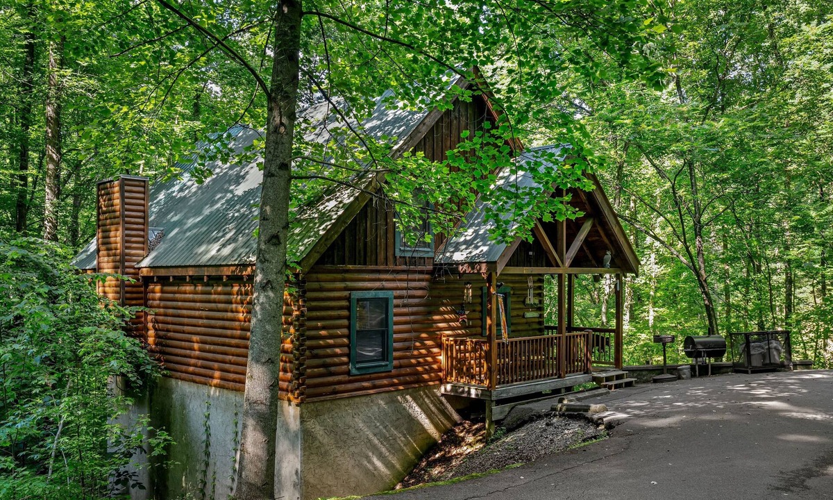 Forest Fling | Gatlinburg - Pigeon Forge