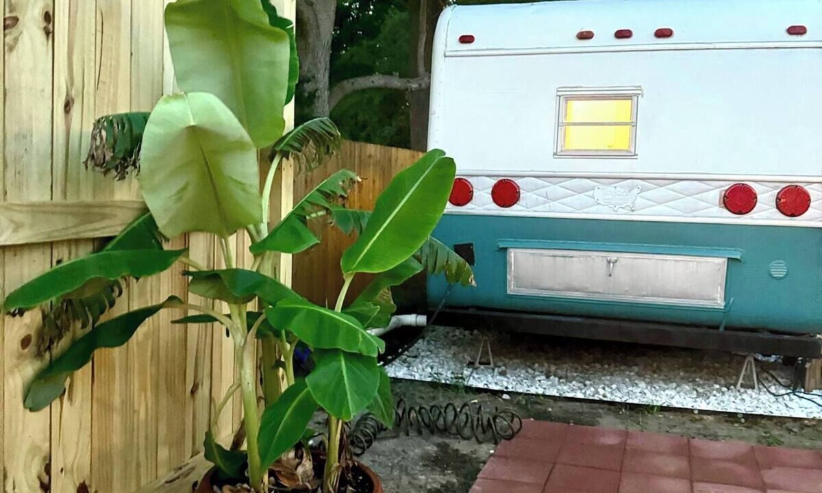 Wrightsboro Apartment | Glamping Getaway! 10 Min to Downtown, 22 min to Beach!