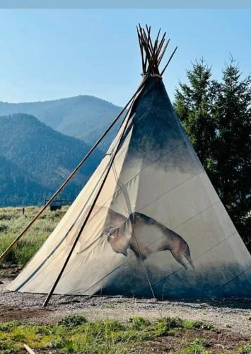 Cameron Other | Gorgeous Wild Buffalo Tipi Near West Yellowstone