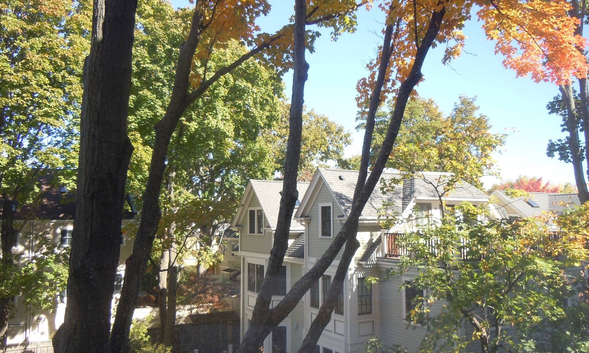 Mid-Cambridge Apartment | Harvard Square!