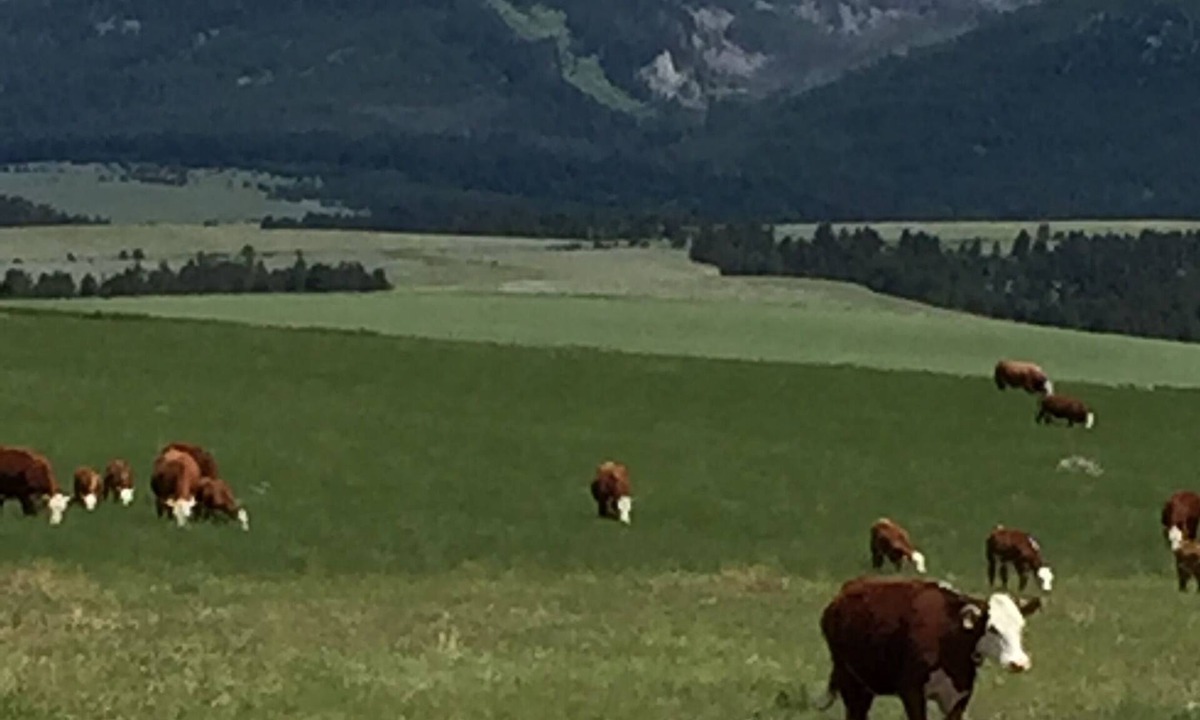 Broadwater County Other | "Hereford House" - Charming 4-bedroom farmhouse in quaint Townsend, MT