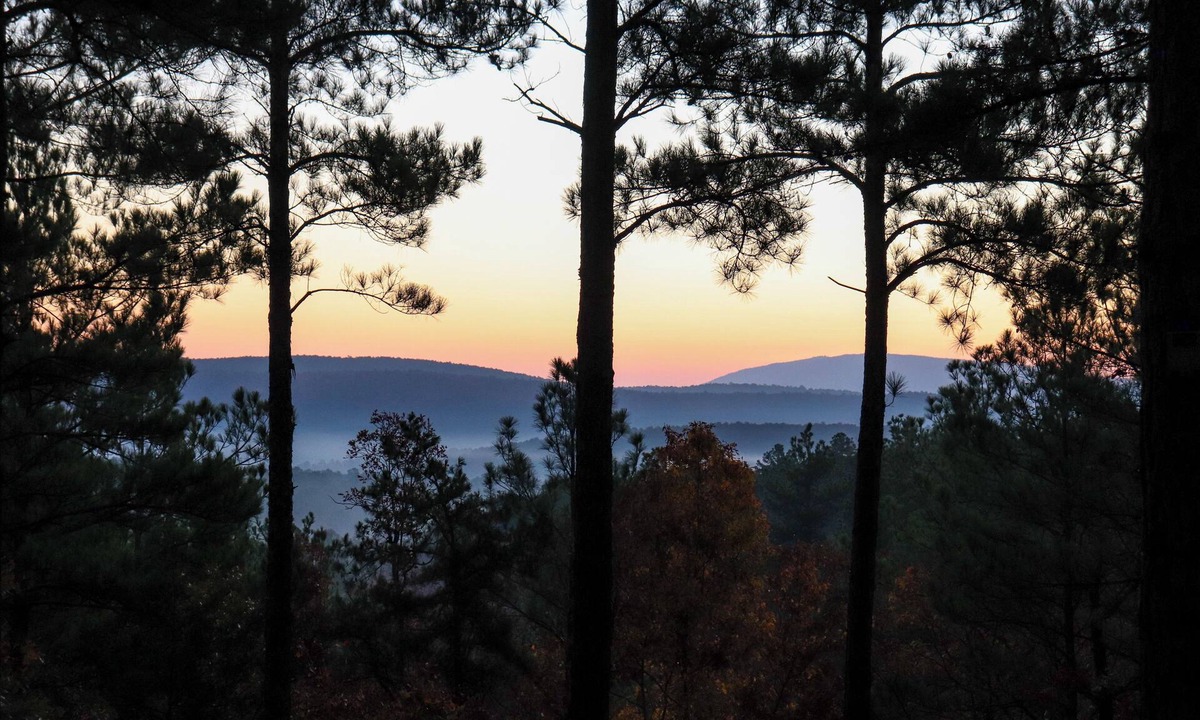 Summerfield Cabin | Hike the Ouachitas! Remote Mtn Hideaway w/Trails