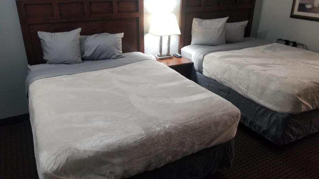 Stillwater Apartment | Hotel 2 Queen Beds Hotel Room 135 Booking