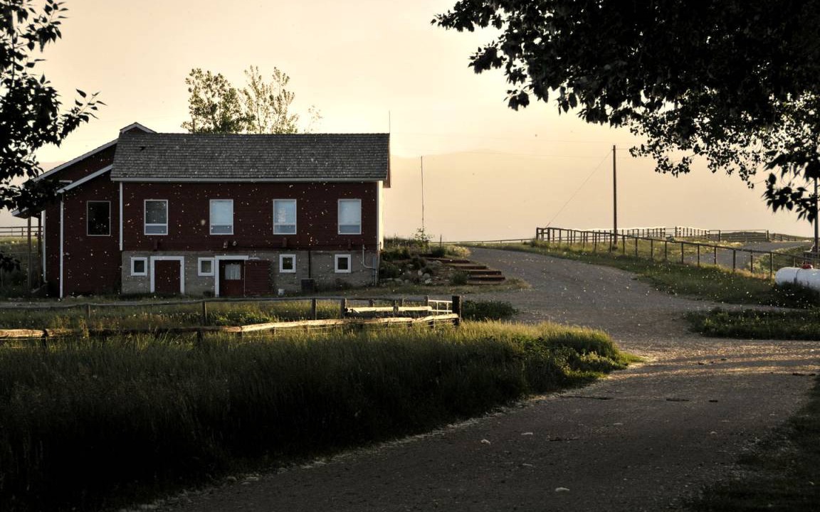 Buffalo House | House ∙ 1 bedroom ∙ 6 guests