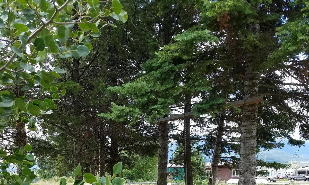 Island Park Cabin | Island Park 13 Miles To Yellowstone And 3 Miles To Henry's Lake