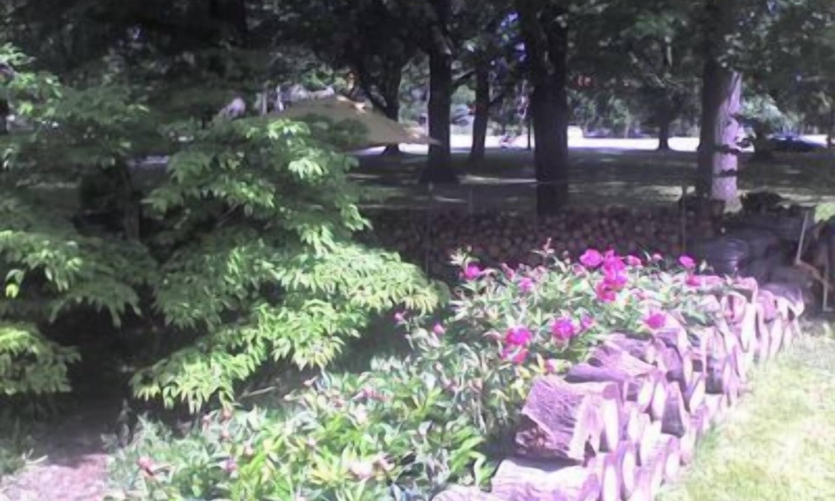Detroit - Shoreway House | JARVIS Edgewater Park & Beach 5BD Villa