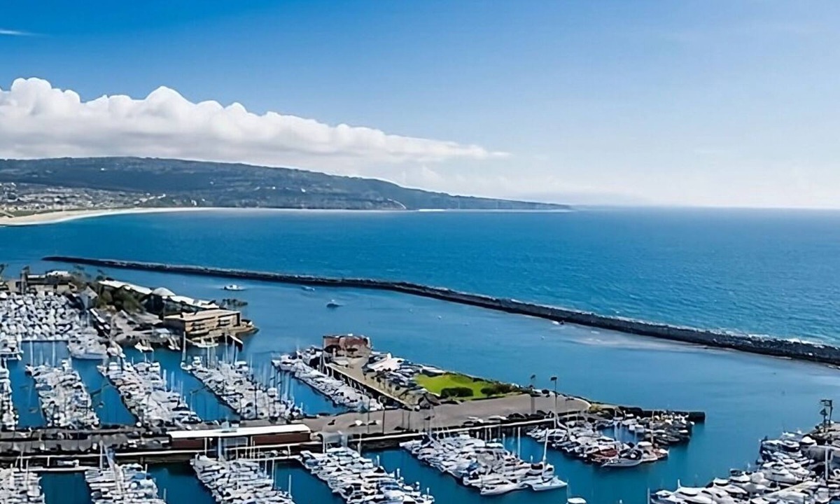 South Redondo Hotel | King Harbor Adventure! Whale Watching, Pets Allowed, Outdoor Pool & Jacuzzi!