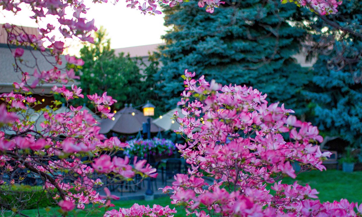 Spokane Valley Hotel | Mirabeau Park Hotel & Convention Center