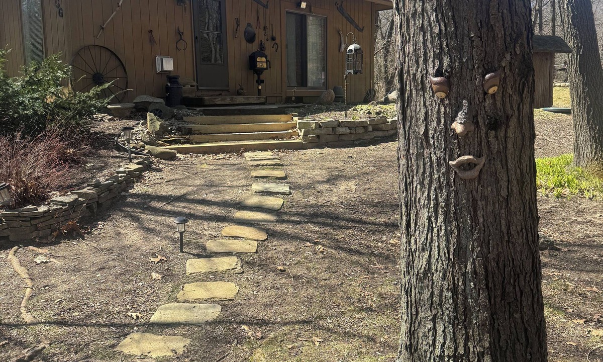 Ortonville Cabin | Modern Cabin in the Woods with WiFi, AC