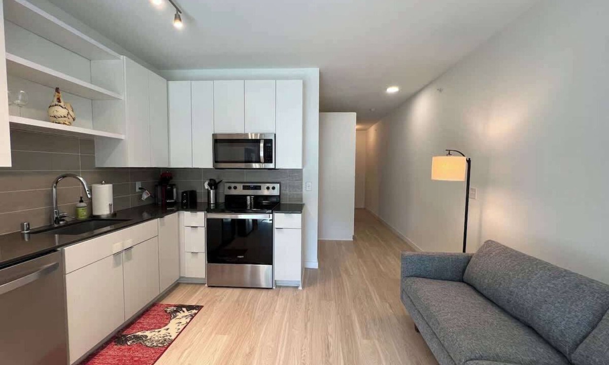 Hiawatha Apartment | Modern Sunny Micro 1BR Light Rail, Parks, MSP 205