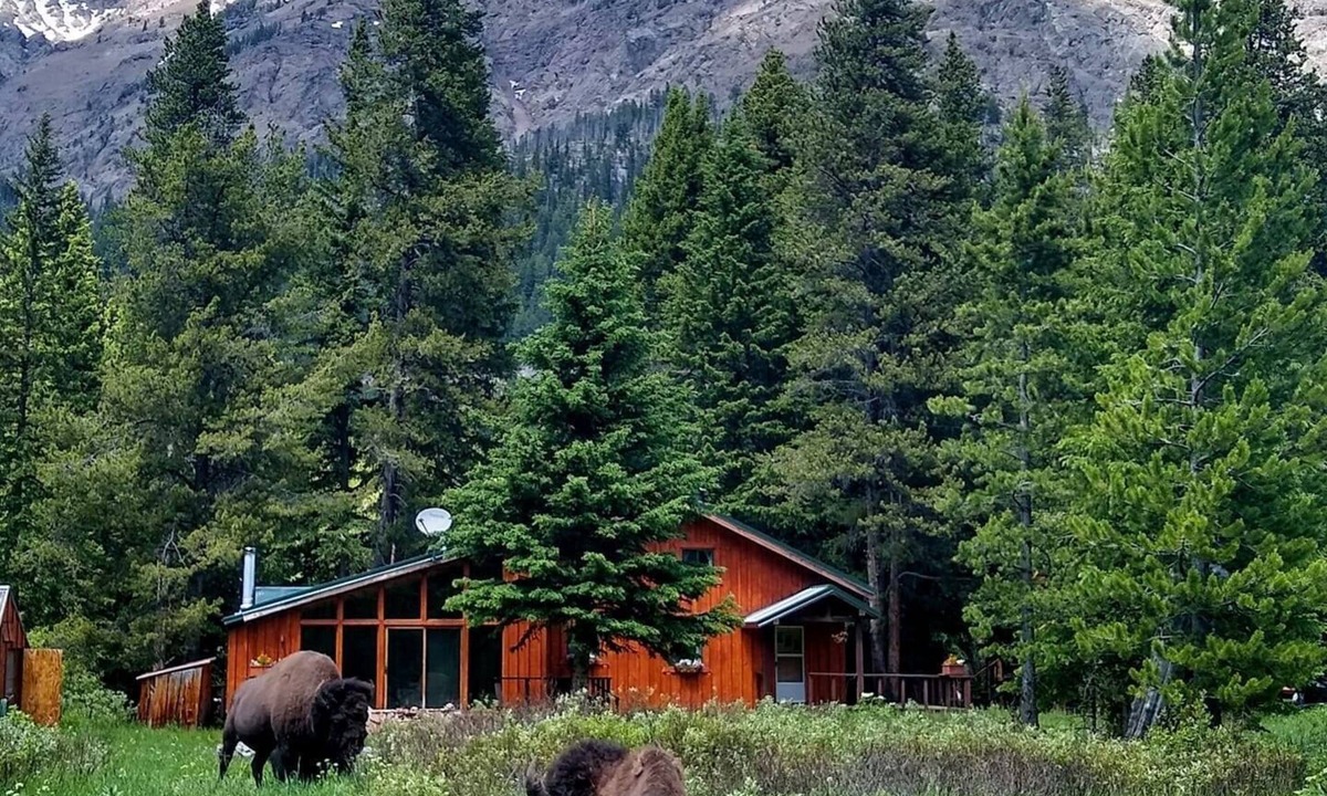 Silver Gate House | Mountain View House Right on Soda Butte Creek