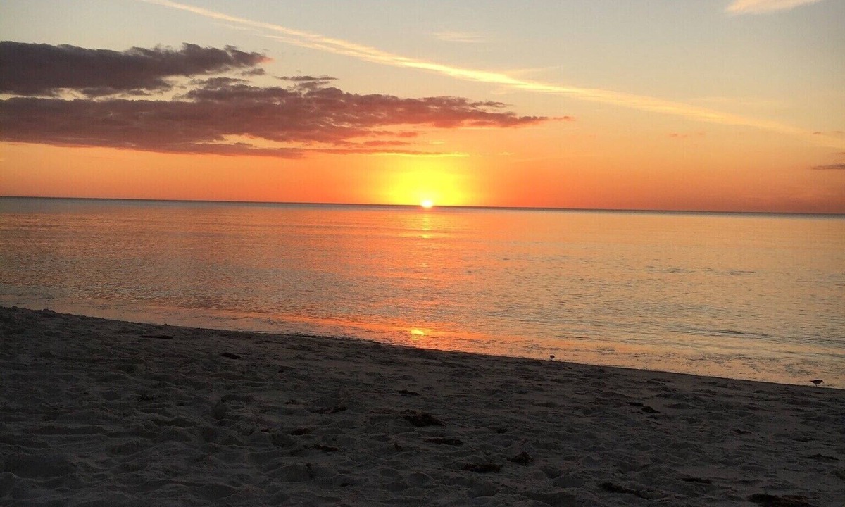 Park Shore Condo | Parkshore Condo