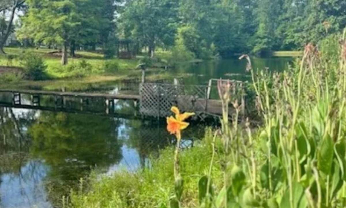 Red Hill House | Pond-front Retreat Near CCU, Golf, Downtown Conway, and Beaches