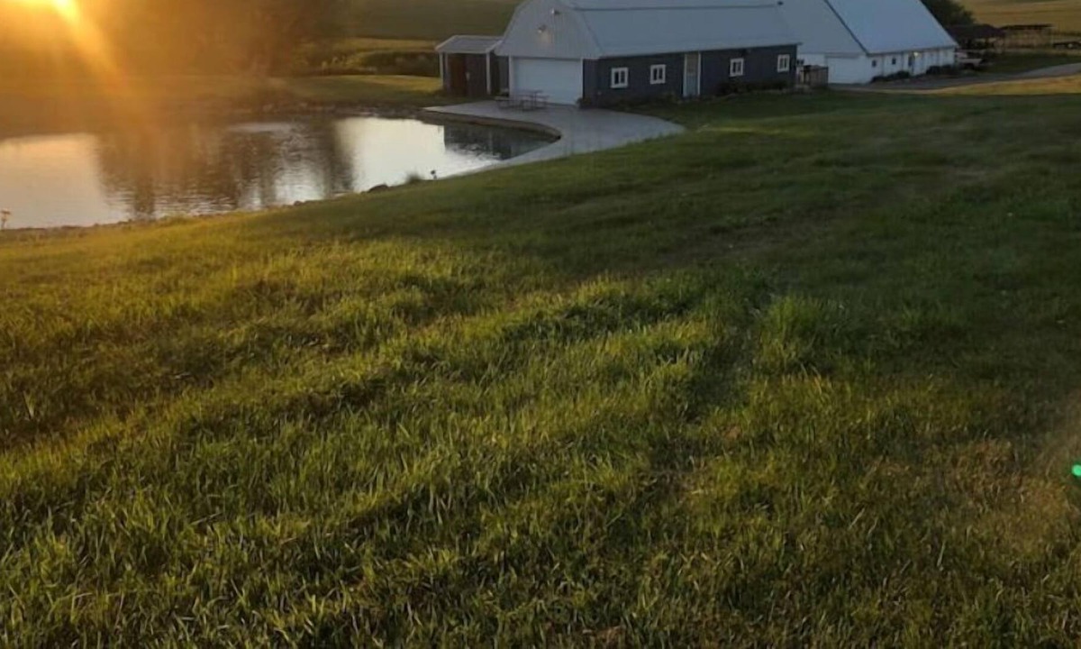Conroy House | Renovated barn with a bar