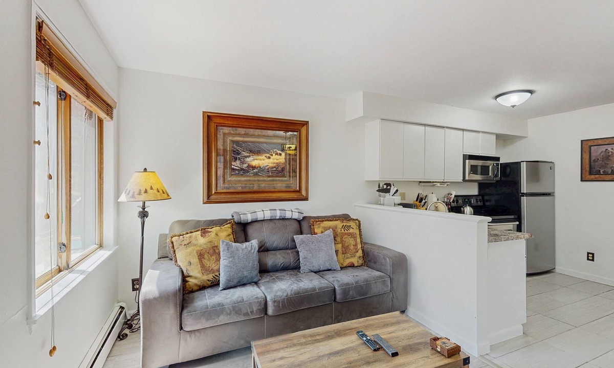 Four O'Clock Condo | Renovated Ski-in Dog-Friendly condo – Walk to Main Street!