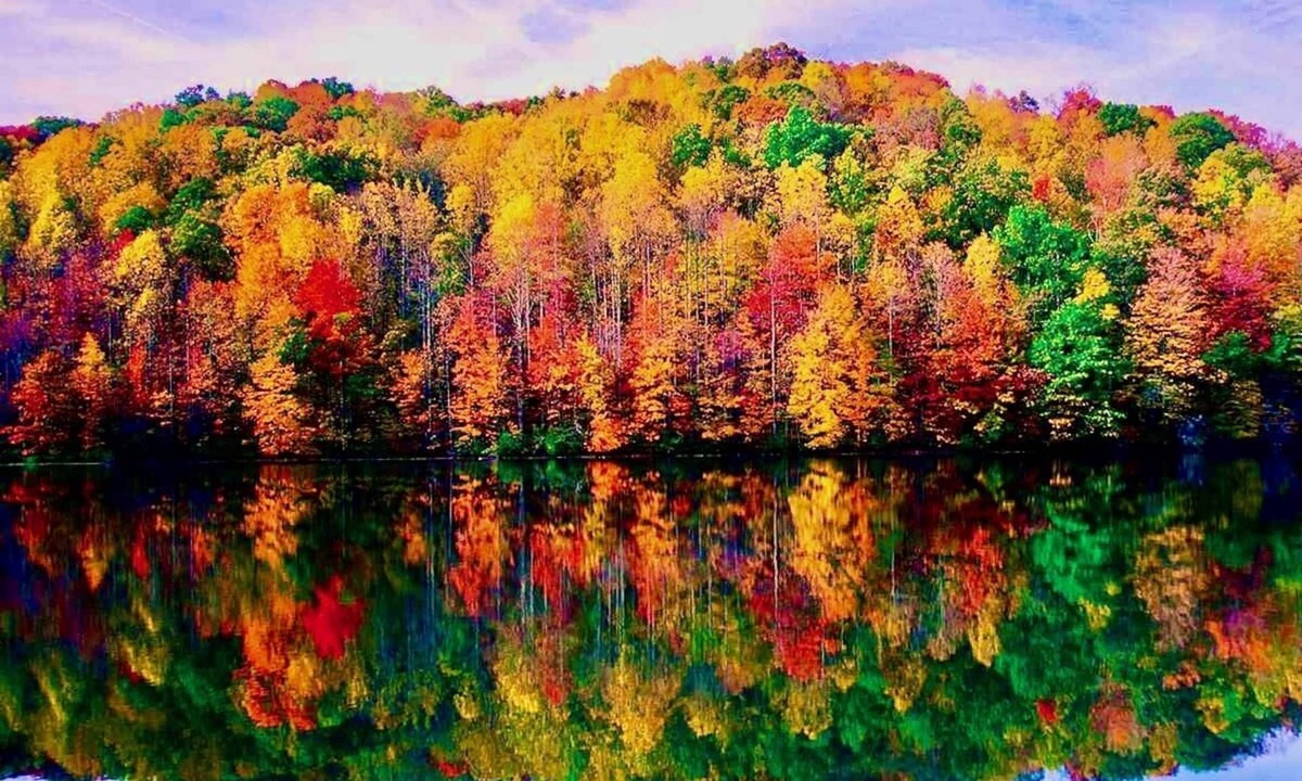 Sparrow Bush Cottage | Serene lakeside oasis - fast WiFi 1.5 hrs from NYC, fire-pit & nature all around