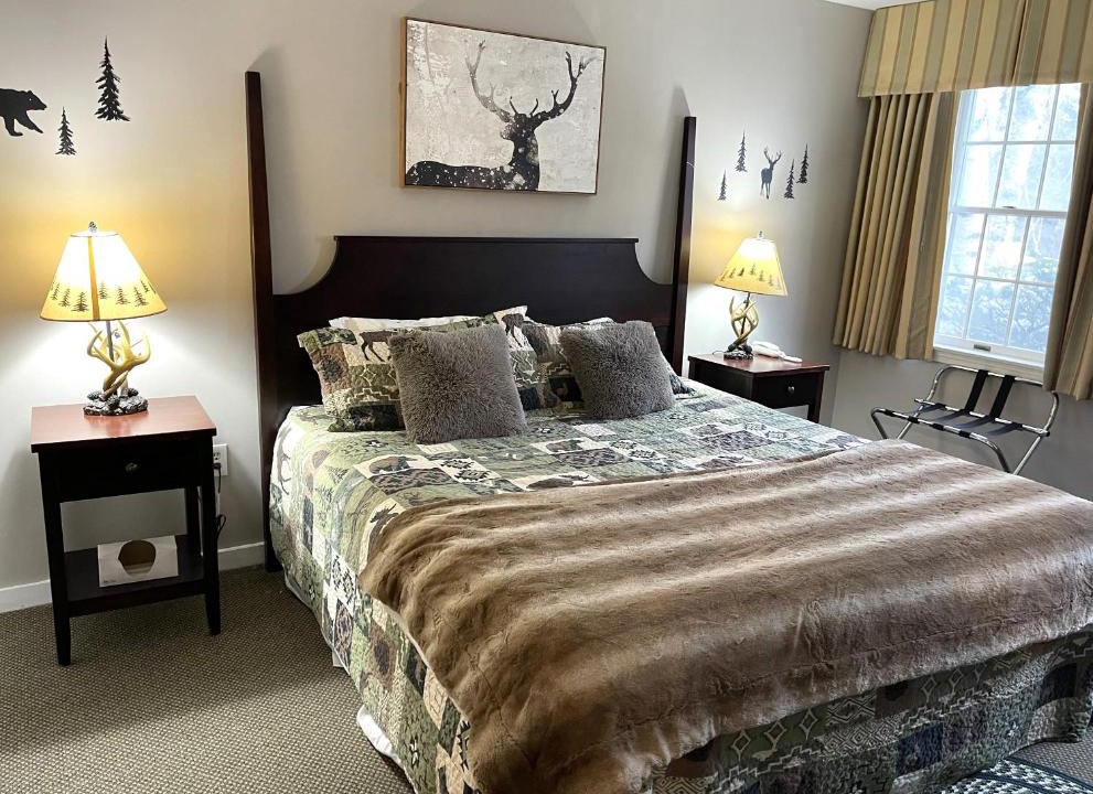 Hancock Apartment | Ski On Off 1BR Suite 1st Flr Sleeps 4 Jiminy Peak