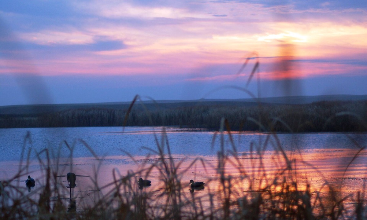 Medina Cabin | SPACIOUS 6-BEDROOM SINGLE LEVEL LODGE IN MEDINA, WIFI, AC, PARKING LOT, GARAGE