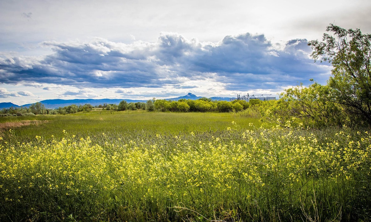 Ralston House | Spacious Family Retreat with Stunning River Views – Just 15 Minutes from Cody!