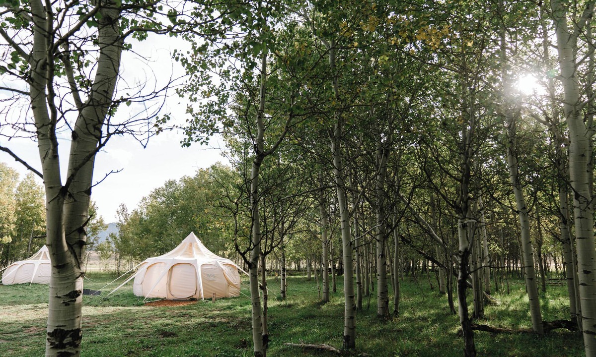 Island Park Hotel | Starlight Retreat Yellowstone