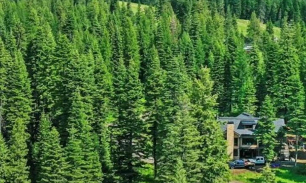 Tamarack Resort House | Sugarloaf Summit @ Tamarack Resort | Insta-Worthy SKI IN/OUT Mountain Modern Estate