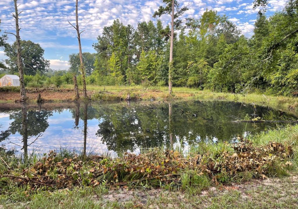 Little Rock Other | Tentrr Signature Site - The Great Southern Jordan Ranch & Family Farms