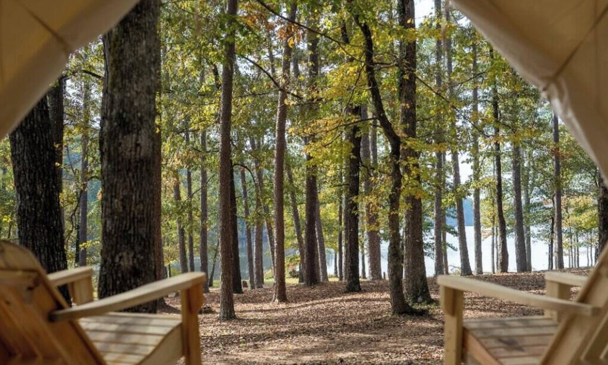 Morton RV Rental | Tentrr State Park Site - Mississippi Roosevelt State Park - I - Single Camp