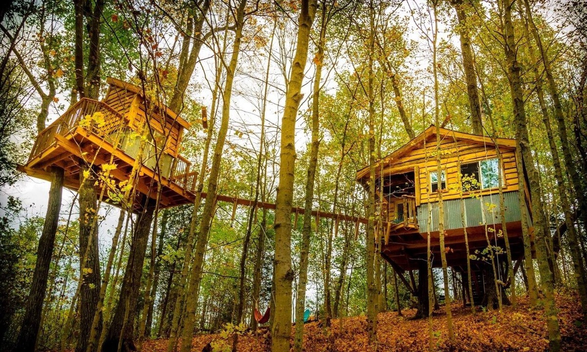 Stonewall Cabin | The Aliyah Treehouse with swinging bridge +285 acres hiking trails