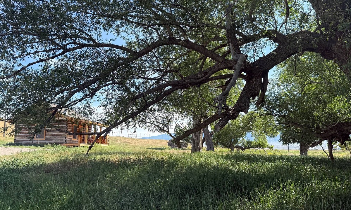 Ennis House | The Dovetail Cabin in Ennis