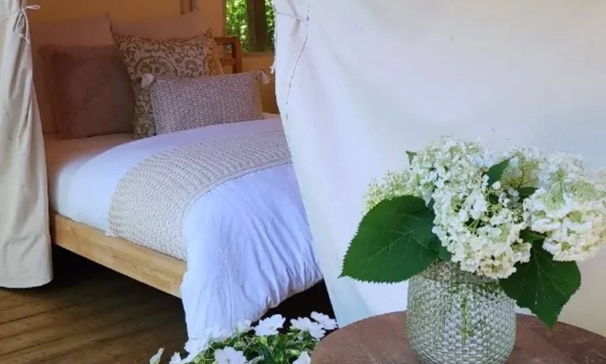 Tsawwassen Cabin | The Fox Den