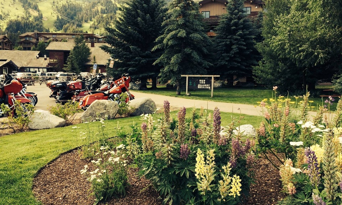 Teton Village Hostel | The Hostel